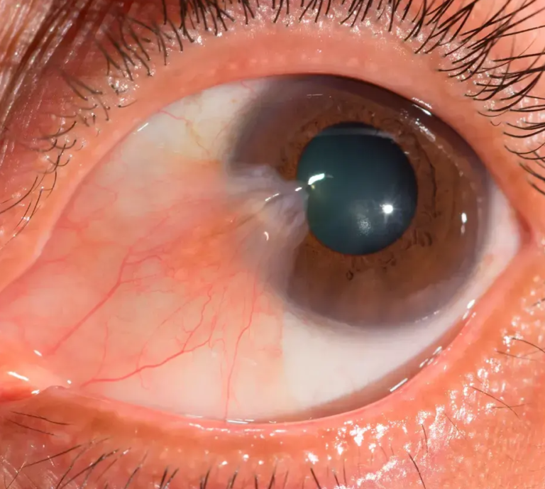 Captura de pantalla 2026 01 23 104413