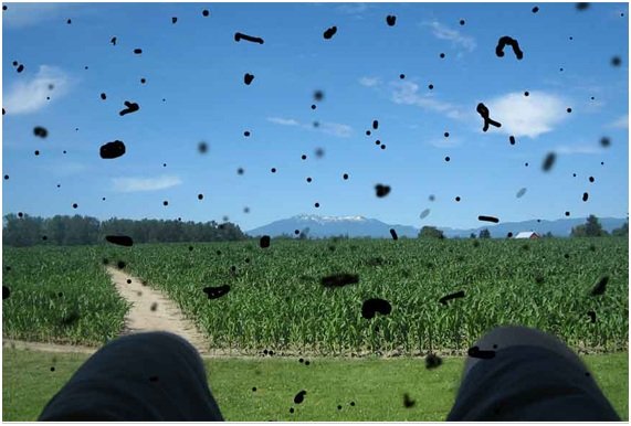 Ilustración de moscas volantes en el campo visual