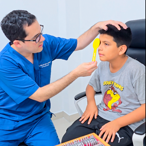 Captura de pantalla 2025-12-11 113209